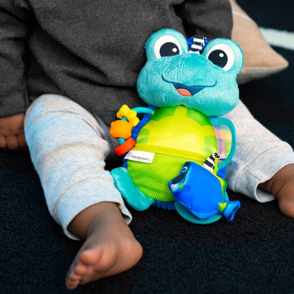 BABY EINSTEIN Jouet actif sur anneau en C tortue Neptune’s Sensory Sidekick™ 0m+