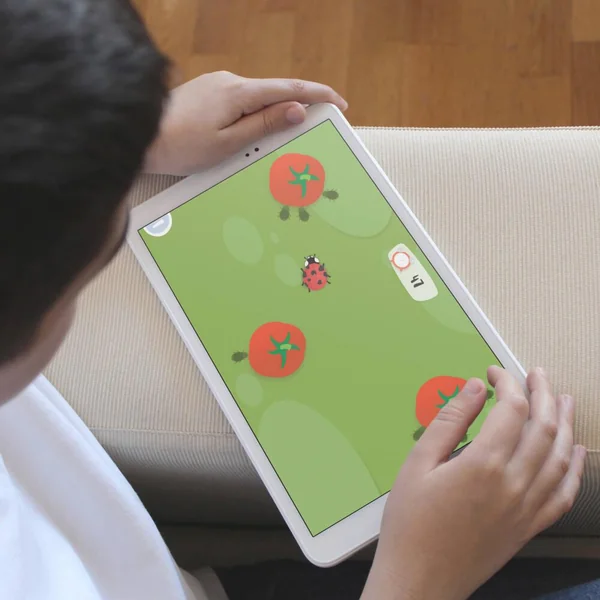 BOTAKI - KIT ACTIVITE SEMIS TOMATE : CREE TON POTAGER MAISON