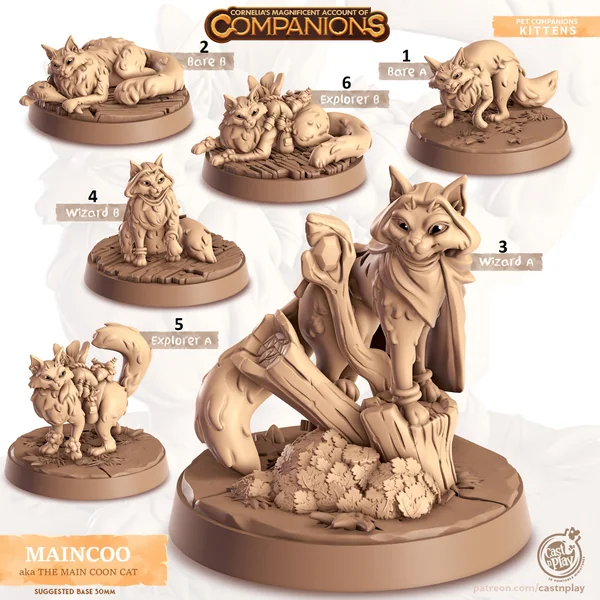 Cast n Play - Les Compagnons de Cornelias - Chats - Maincoon