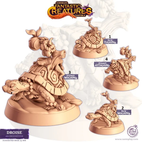 Cast n Play - Les Compagnons de Cornelias - Fantastiques - Droughtoise