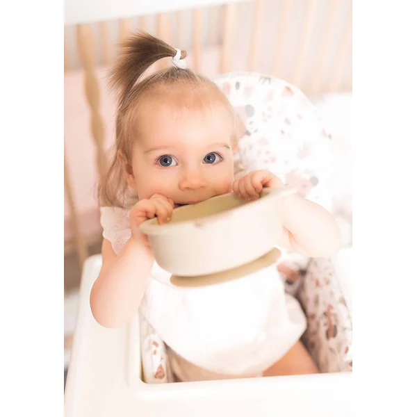 CEBA Coussin pour chaise de salle à manger (38x28) Basic Koala