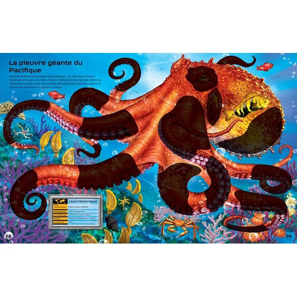 CONSTRUIS TES ANIMAUX DANGEREUX ET TES ANIMAUX MARINS AVEC DES AUTOCOLLANTS - DES 5 ANS