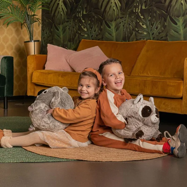 Cozy Noxxiez HW711 Koala - coussin en peluche chauffant 3 en 1