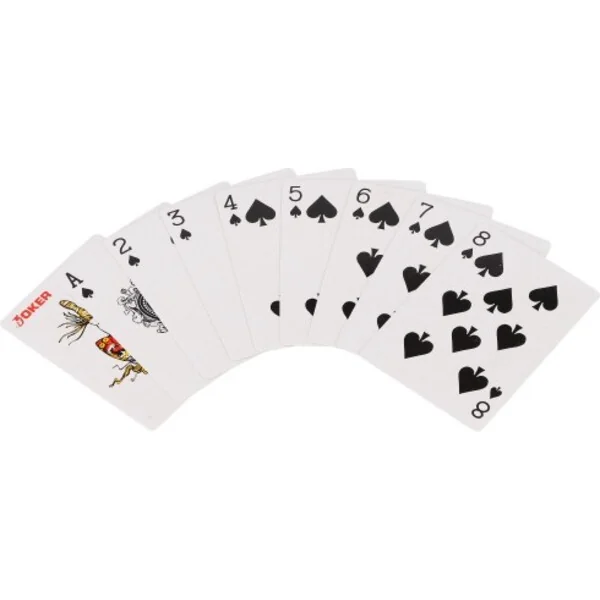 Ensemble de poker 100 pcs + cartes et dés, dans une mallette, 28x25x8cm