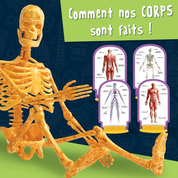 I'M A GENIUS SCIENZA POCKET- A LA DECOUVERTE DU CORPS HUMAIN