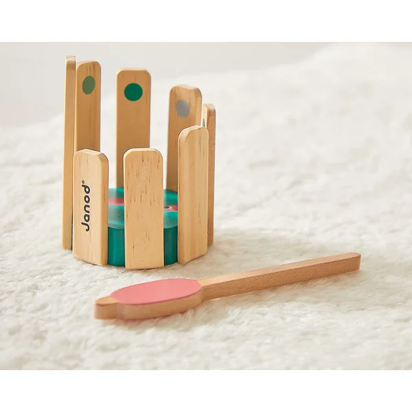 Janod Boîte Développement des capacités cognitives chez les enfants à partir de 36 mois