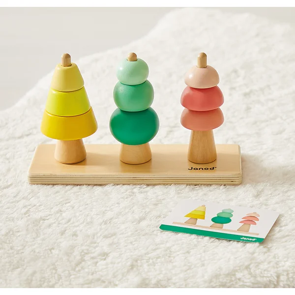 Janod Boîte Développement des capacités cognitives chez les enfants à partir de 36 mois