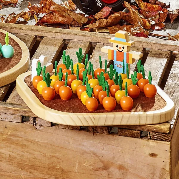 LE SOLITAIRE DU POTAGER EN BOIS - JOUR DE RÉCOLTE