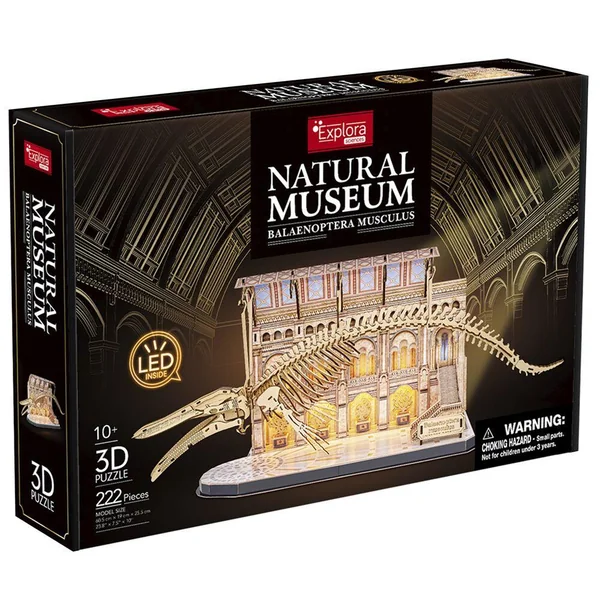 MAQUETTE 3D - NATIONAL MUSEUM BALEINE SQUELETTE LED 58 CM LUMINEUX - 222 PIECES