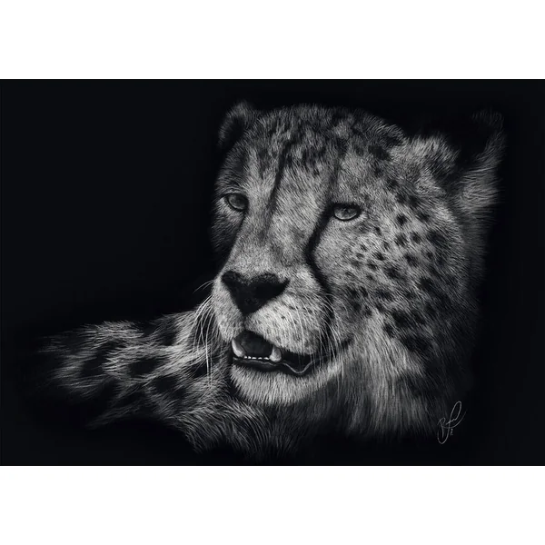 PUZZLE 1000 PIECES - VELOCE – LE GUEPARD : SOUS LE SIGNE DE LA GRACE