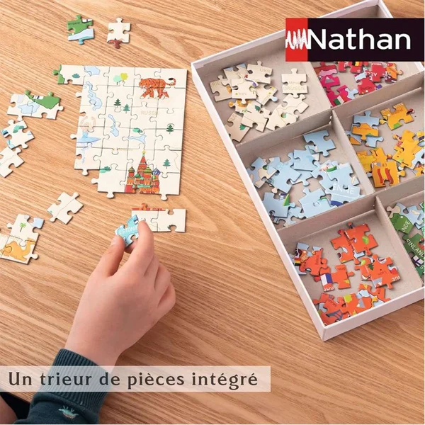 Puzzle Types de Pokémon 250 pcs - Nathan