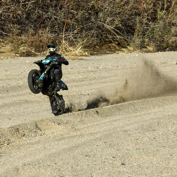 Roue Pro-Line 1:4, pneu Roost MX Sand/Snow Paddle arrière, disque noir (1) : PROMOTO-MX